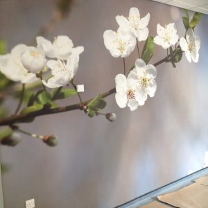 Digital Print Wallpaper
